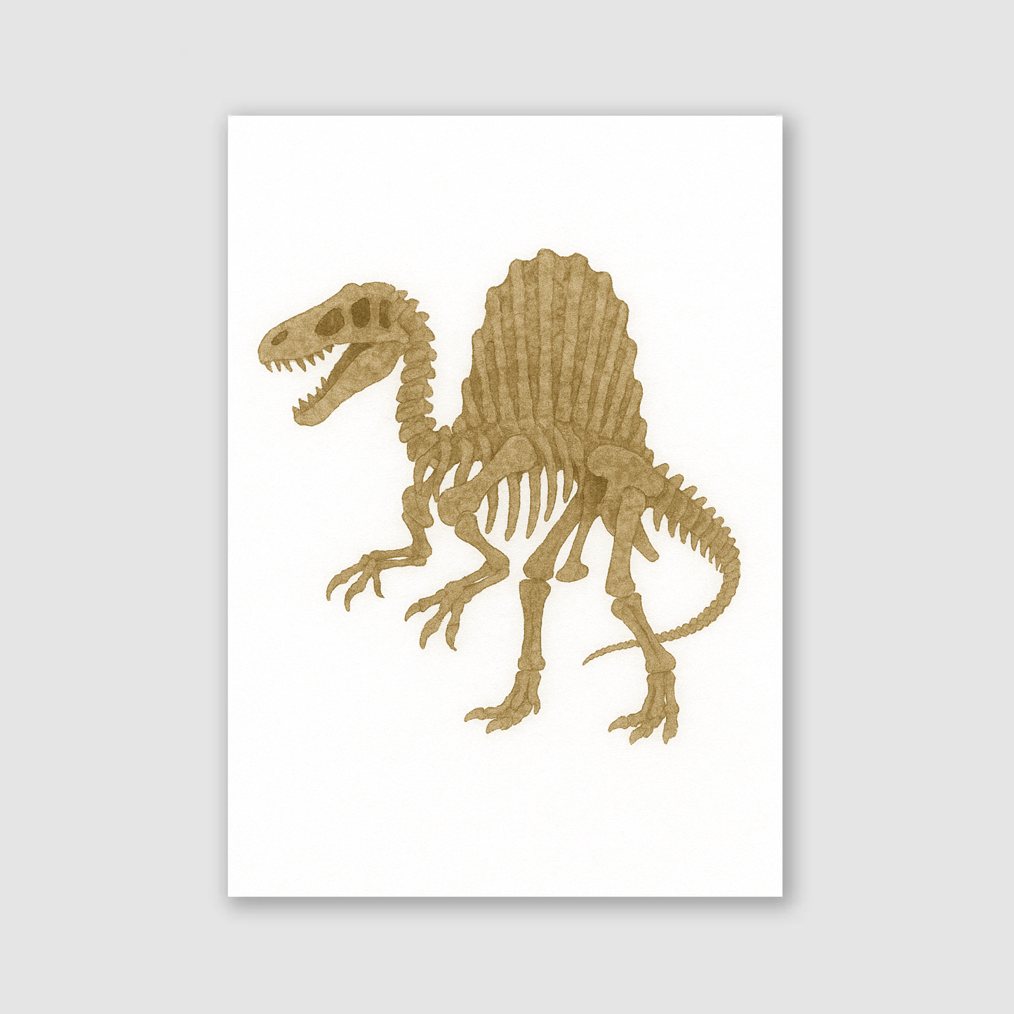 Spinosaurus Fossil Print - Dinosaur Nursery Collection