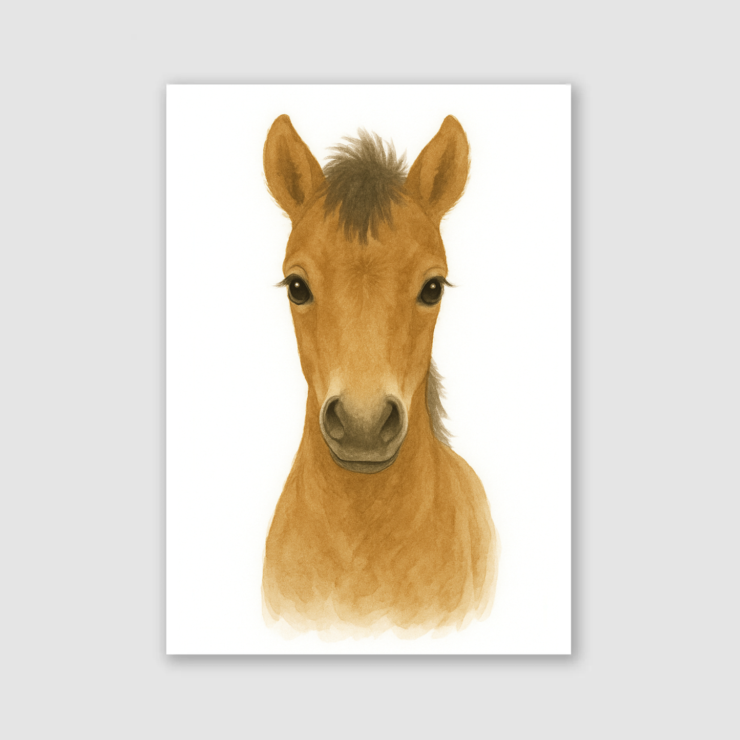 Baby Horse Print - Nursery Farmyard Animals Collection