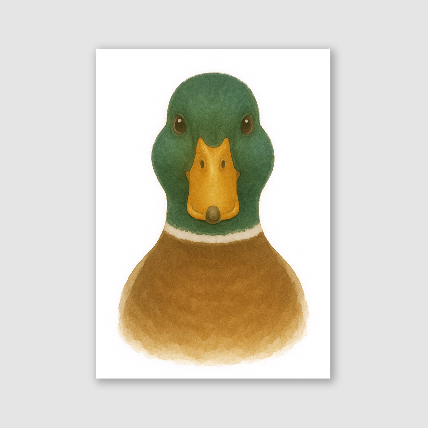 Male Duck Print - Nursery Farmyard Animals Collection