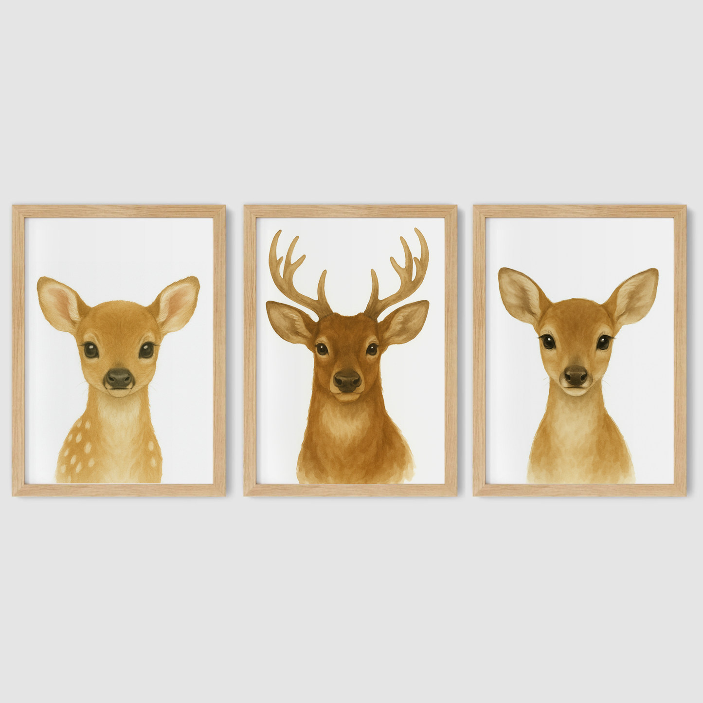 Baby Deer, Stag & Female Deer - Woodland Nursery Print Set of 3