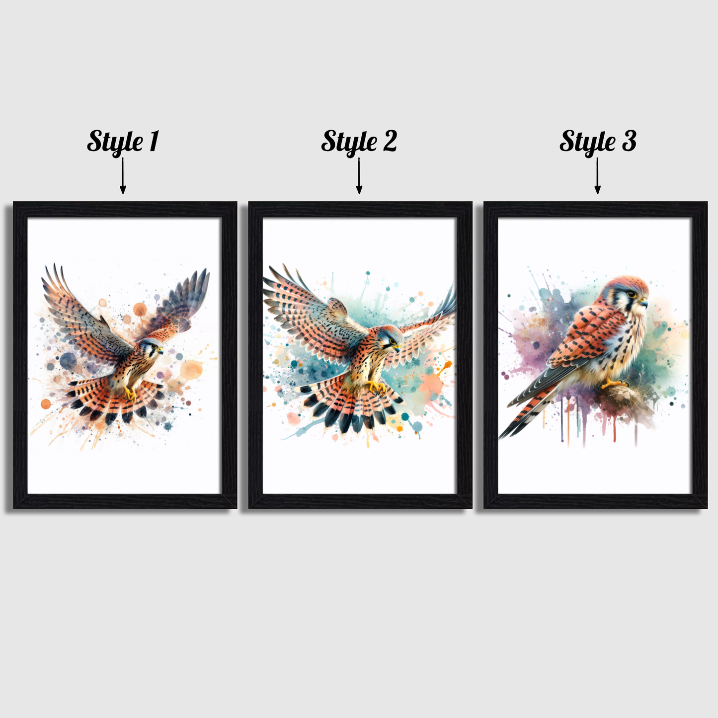 Kestrel Print Set