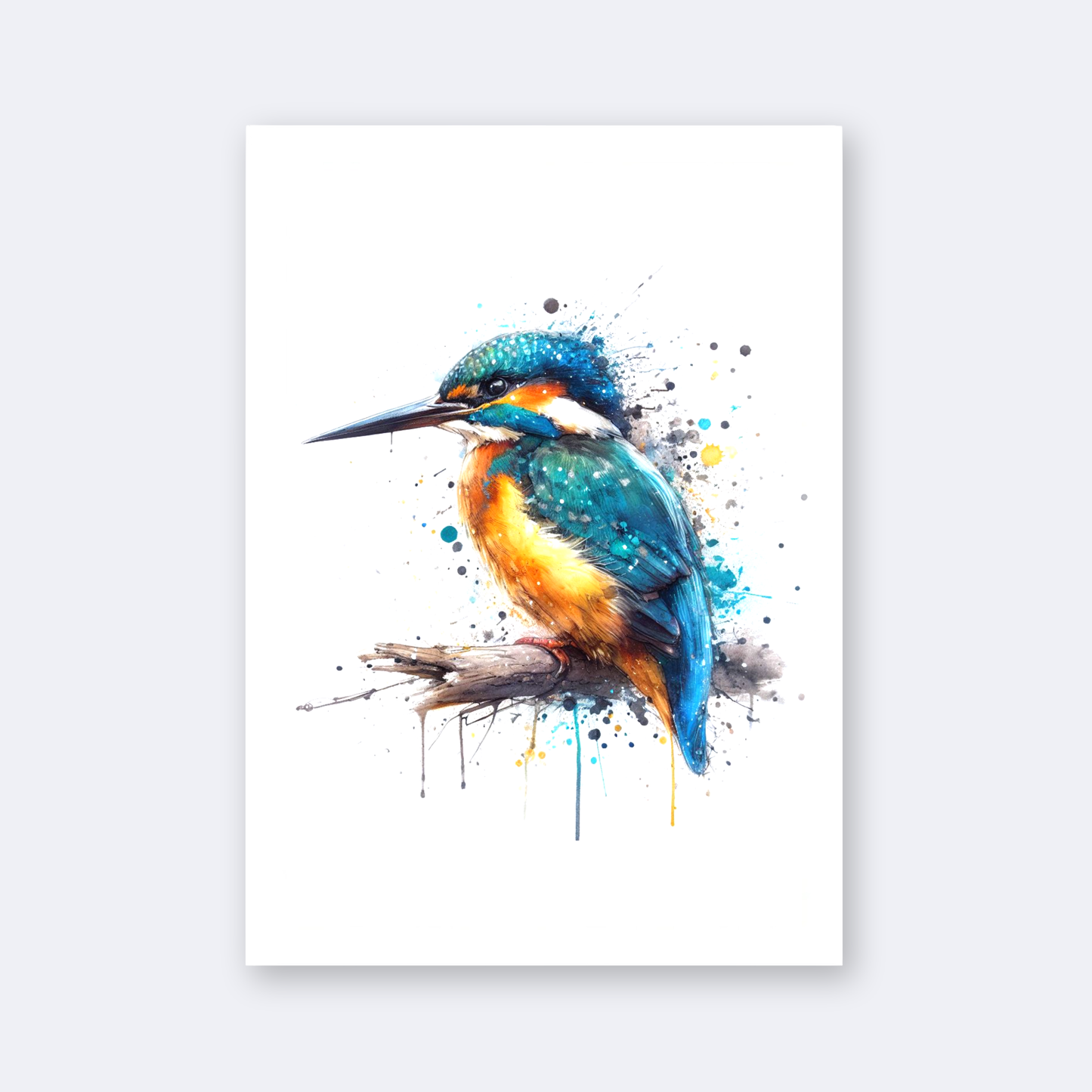 Resting Kingfisher Print
