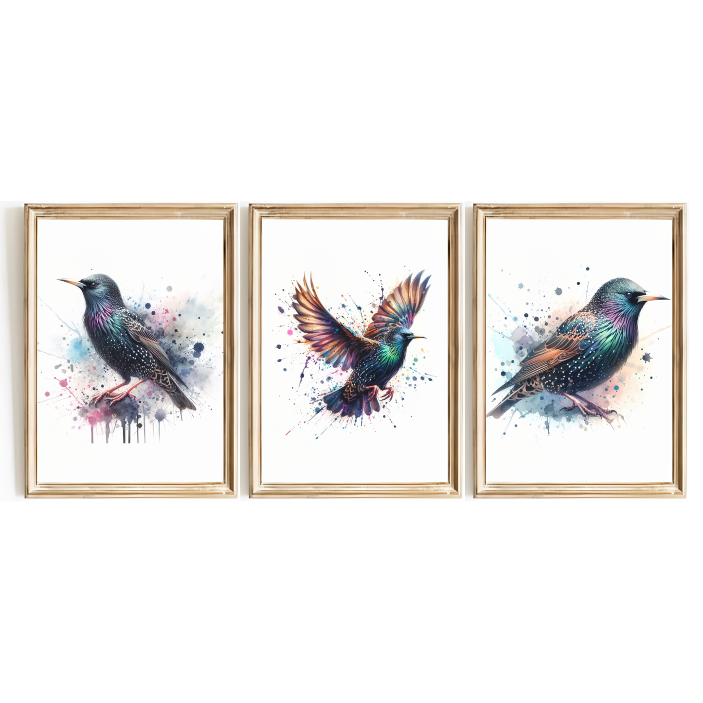 Starling Print Set
