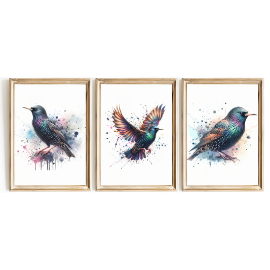 Starling Print Set