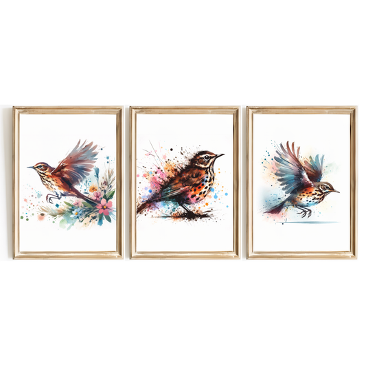 Song Thrush Print Set