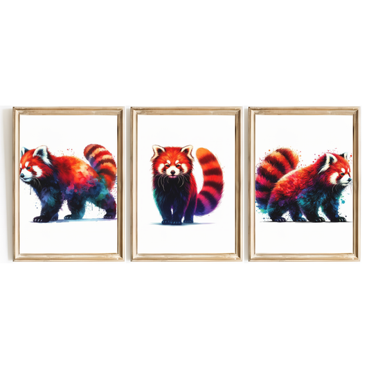 Red Panda Print Set