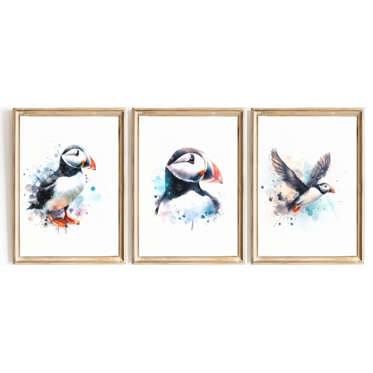 Puffin Print Set
