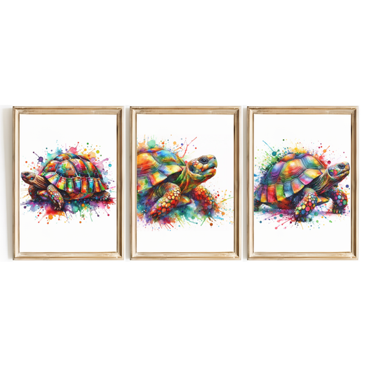 Colourful Tortoise Print Set