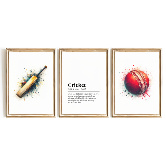 Cricket Definition Print Set