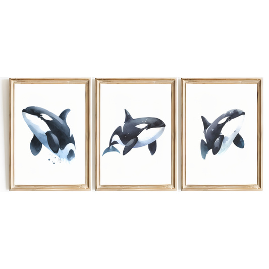 Orca Whale Print Set