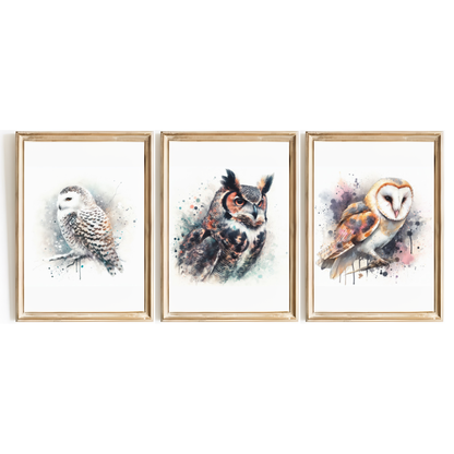 Watercolour Owl Print Set