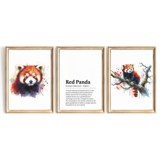 Red Panda Definition Print Set