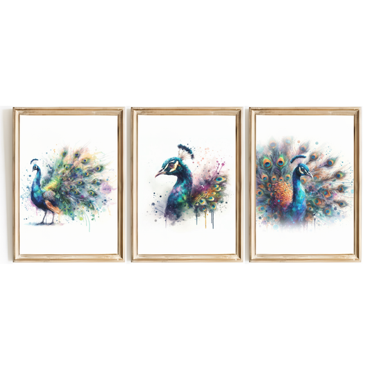 Peacock Print Set