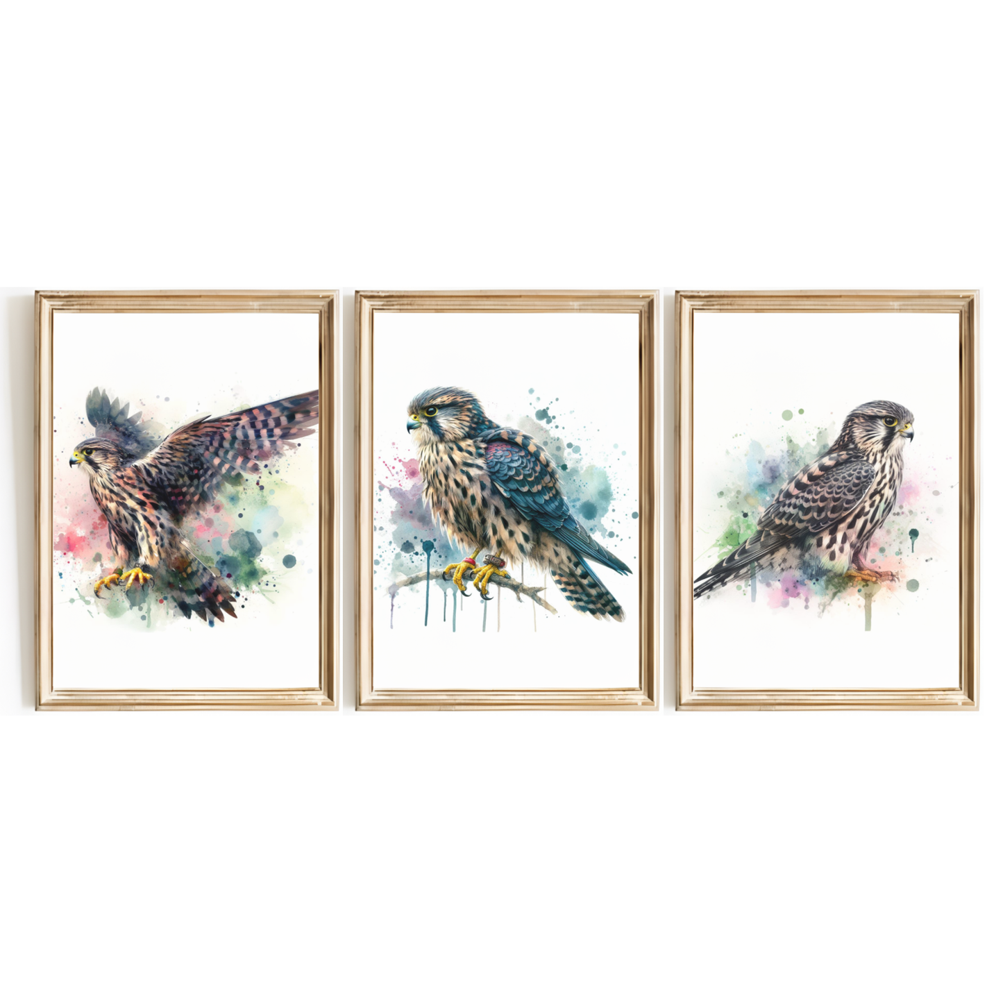 Watercolour Falcon Print Set