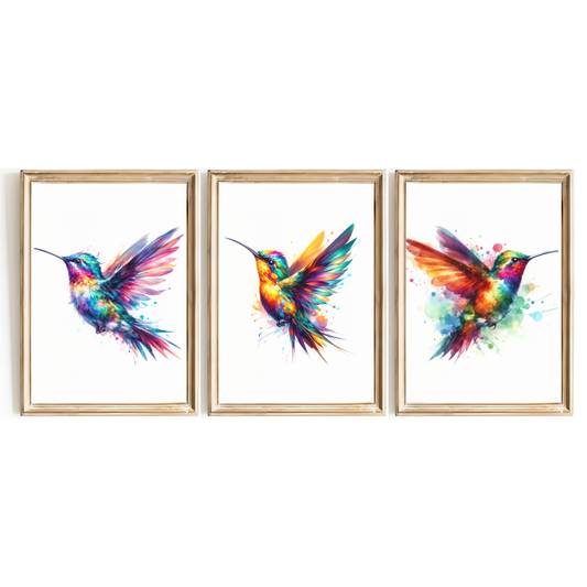 Colourful Hummingbird Print Set