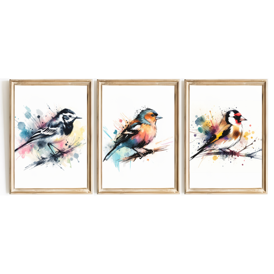 Garden Birds Print Set
