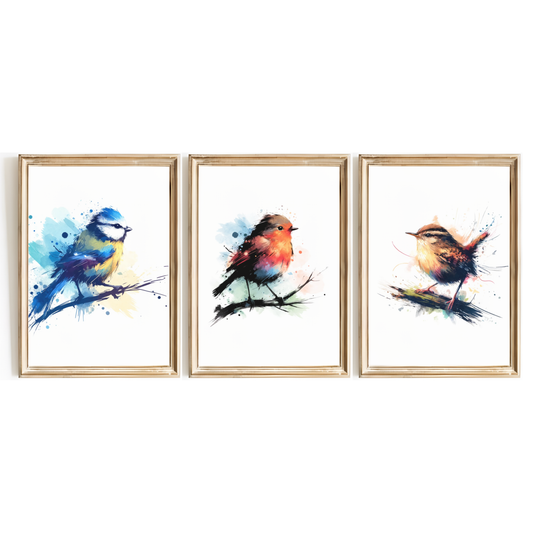 Garden Birds Print Set