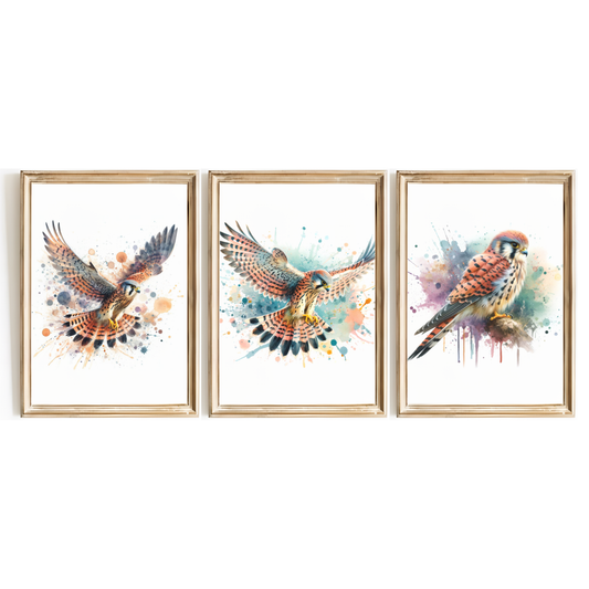 Kestrel Print Set
