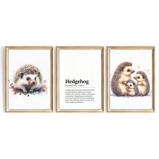 Hedgehog Definition Print Set