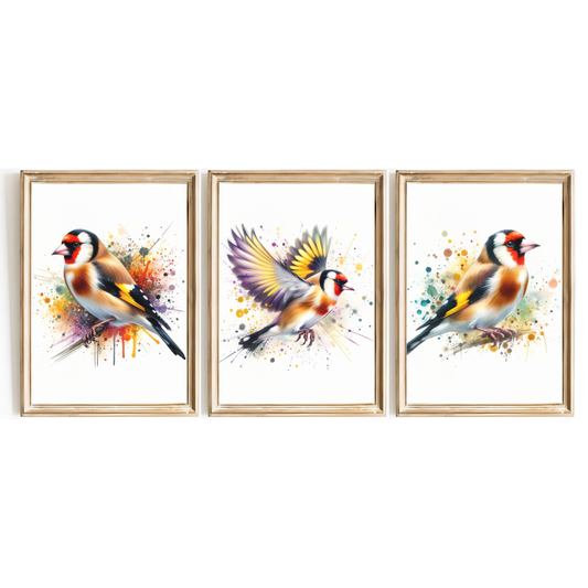 Watercolour Goldfinch Print Set