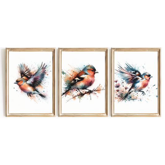 Watercolour Chaffinch Print Set