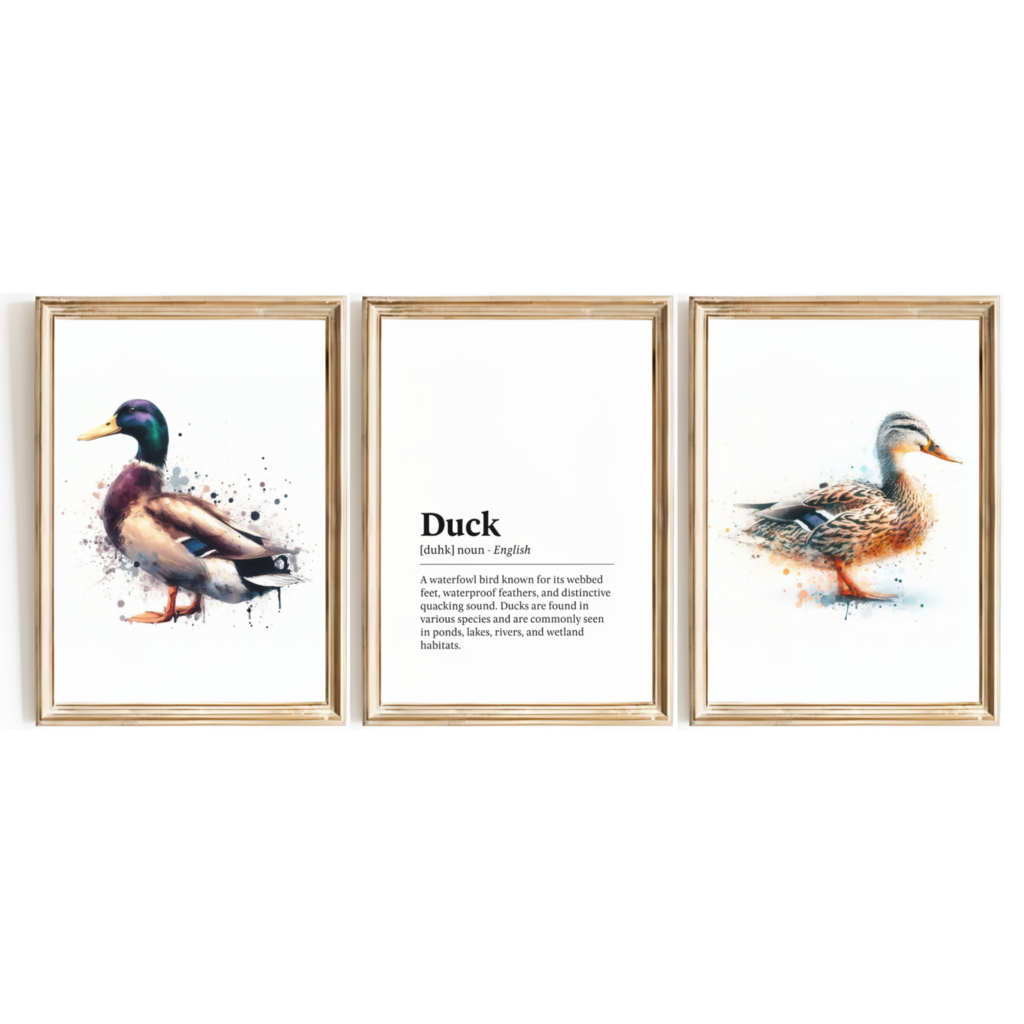 Duck Definition Print Set