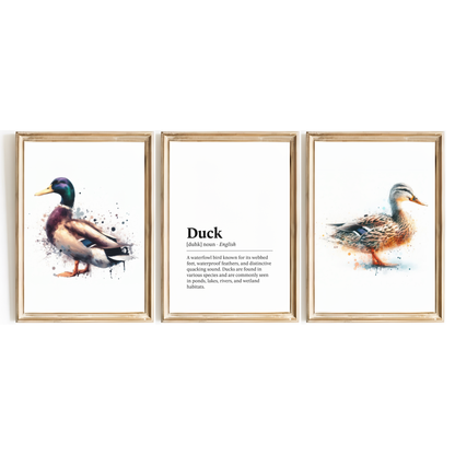 Duck Definition Print Set