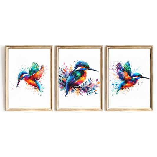 Colourful Kingfisher Print Set