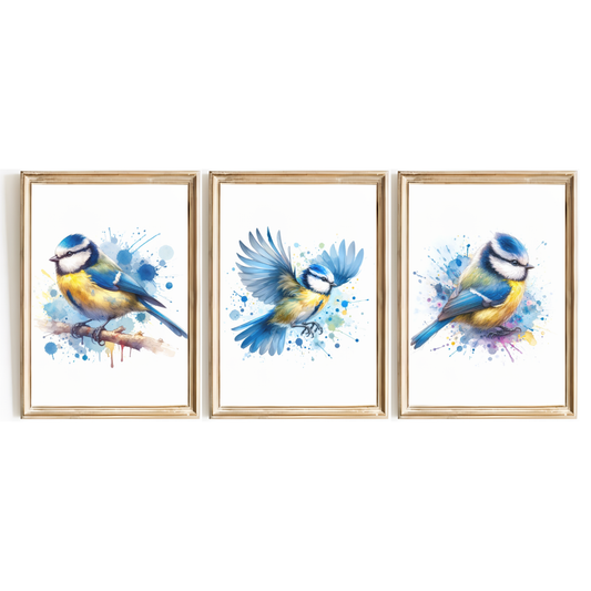 Blue Tit Print Set
