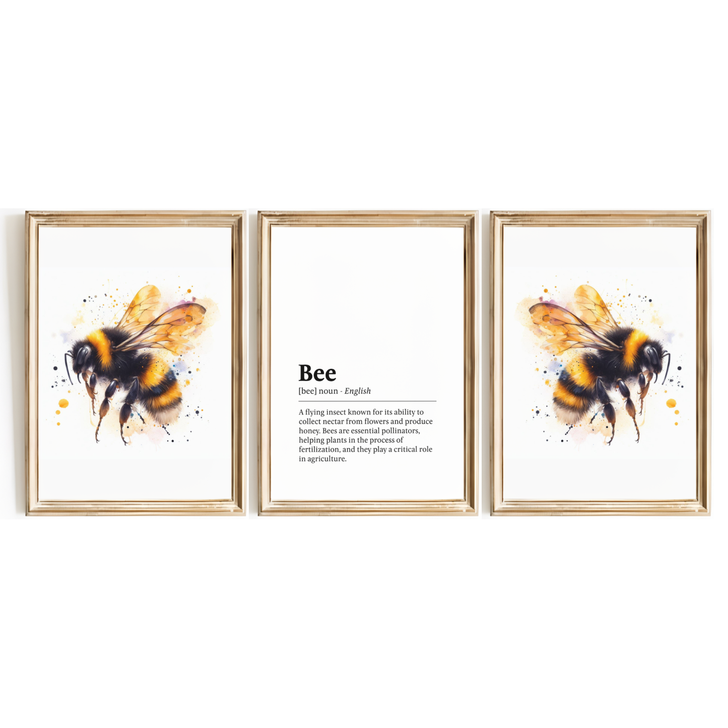 Bee Definition Print Set
