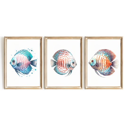 Discus Fish Print Set