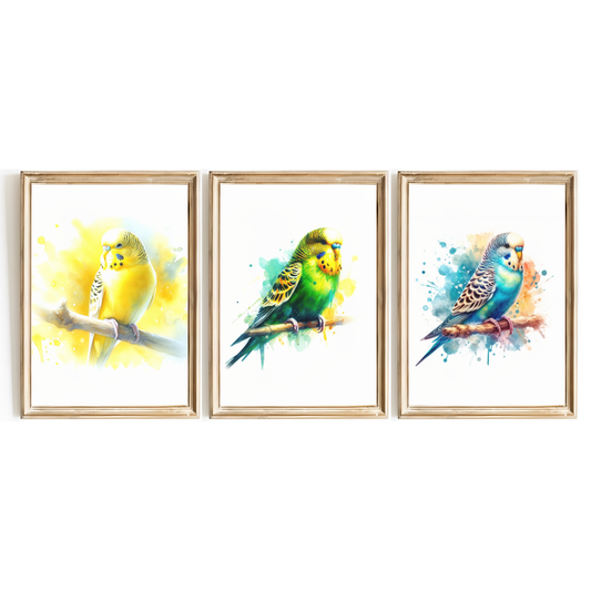 Budgie Print Set