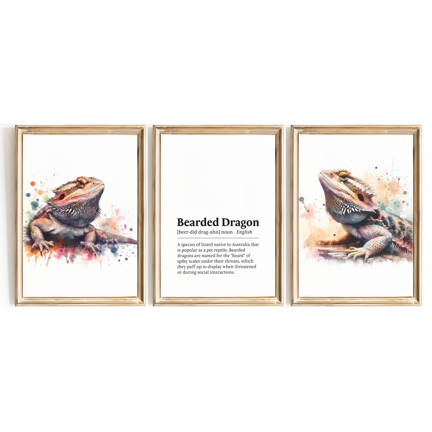 Bearded Dragon Definition Print Set