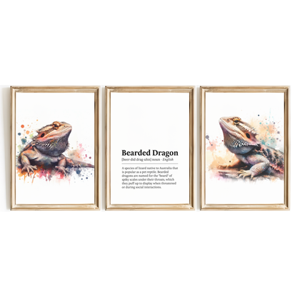 Bearded Dragon Definition Print Set