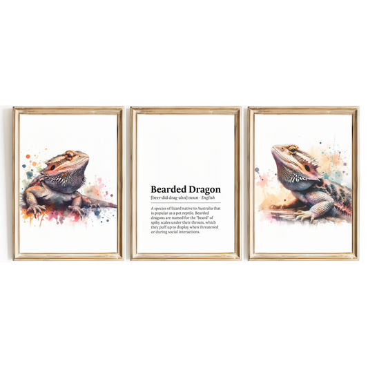 Bearded Dragon Definition Print Set