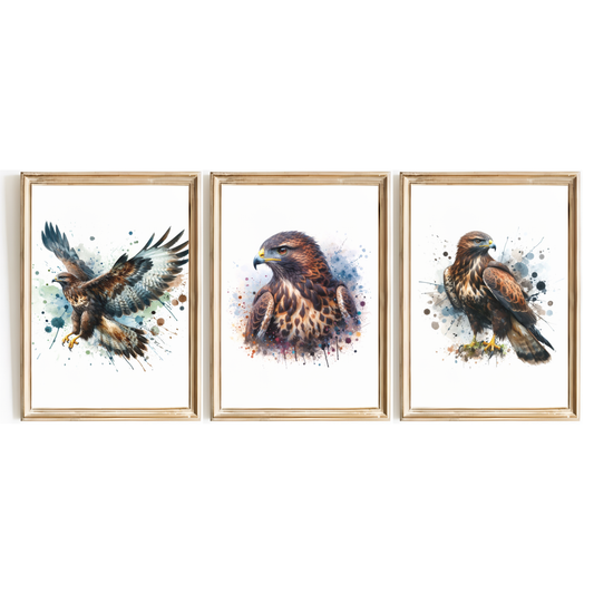 Buzzard Print Set