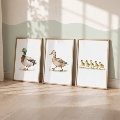 Duck Family Nursery Prints – Mallard, Duck & Ducklings Farm Animal Wall Art Set