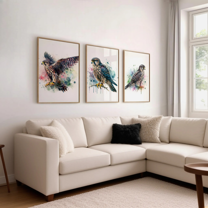 Watercolour Falcon Print Set