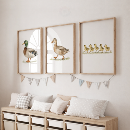 Duck Family Nursery Prints – Mallard, Duck & Ducklings Farm Animal Wall Art Set