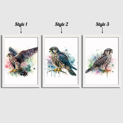 Watercolour Falcon Print Set