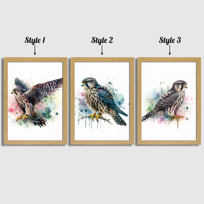 Watercolour Falcon Print Set
