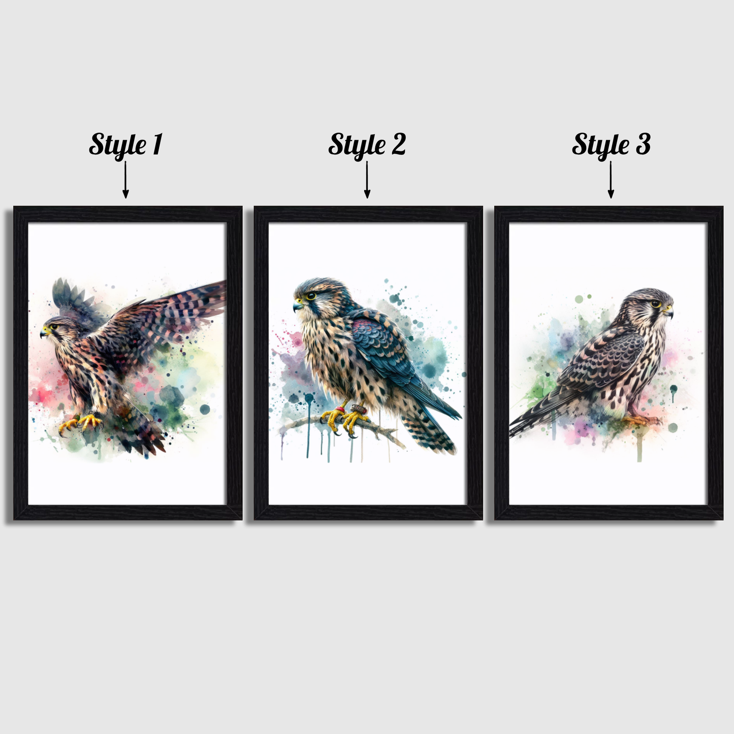 Watercolour Falcon Print Set
