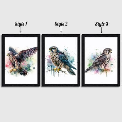 Watercolour Falcon Print Set