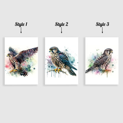 Watercolour Falcon Print Set
