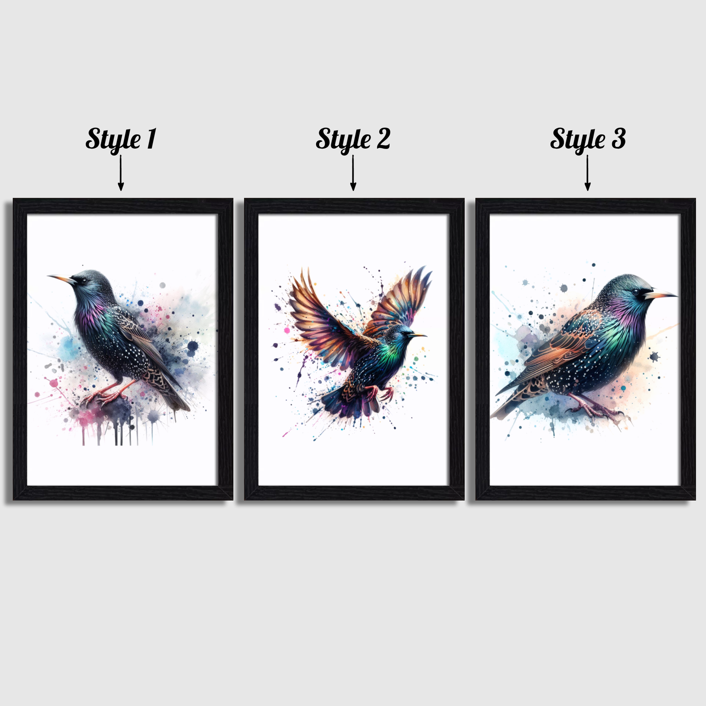 Starling Print Set