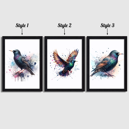 Starling Print Set