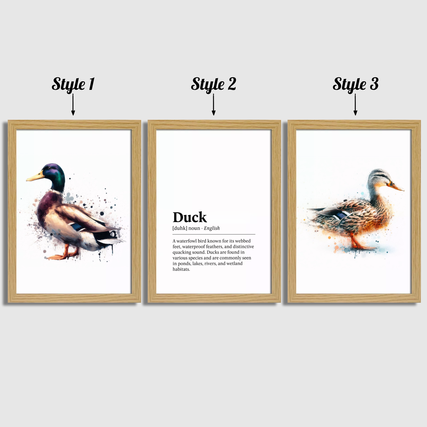 Duck Definition Print Set