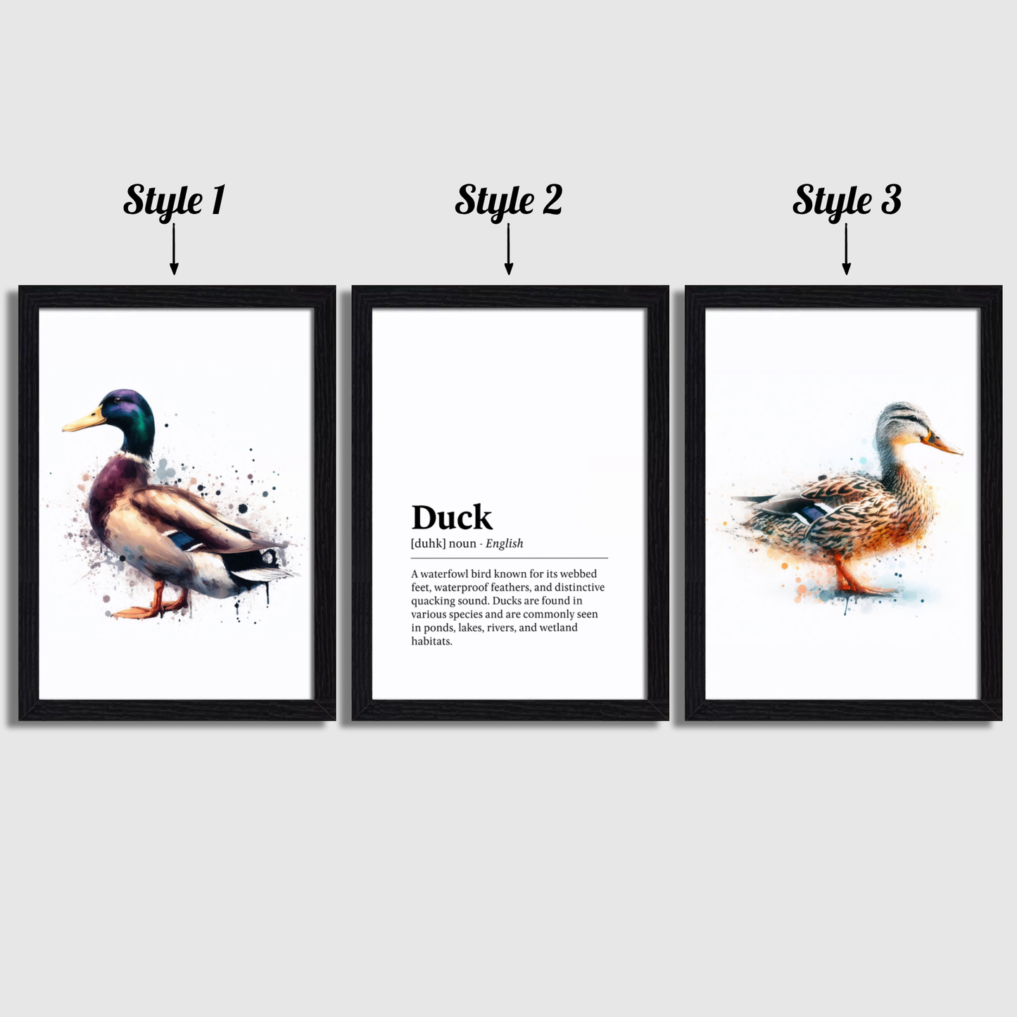 Duck Definition Print Set