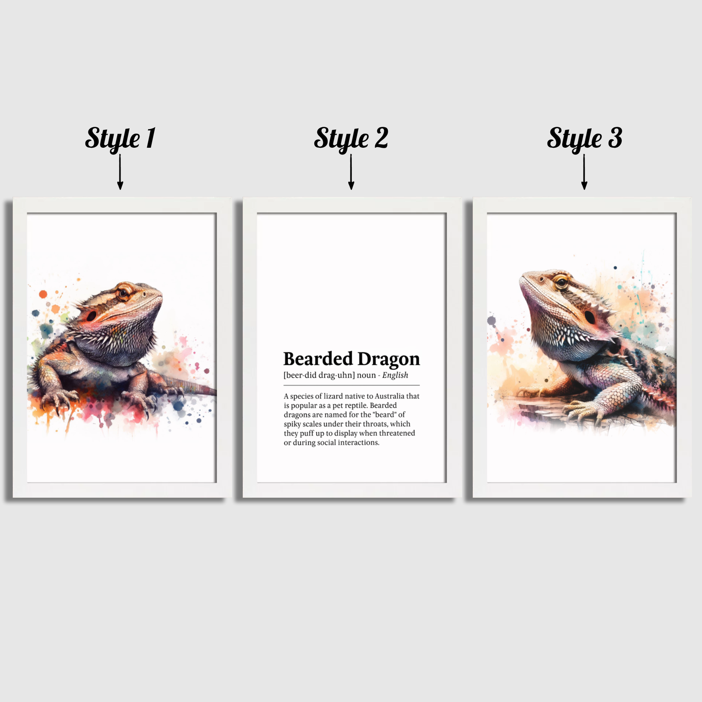 Bearded Dragon Definition Print Set