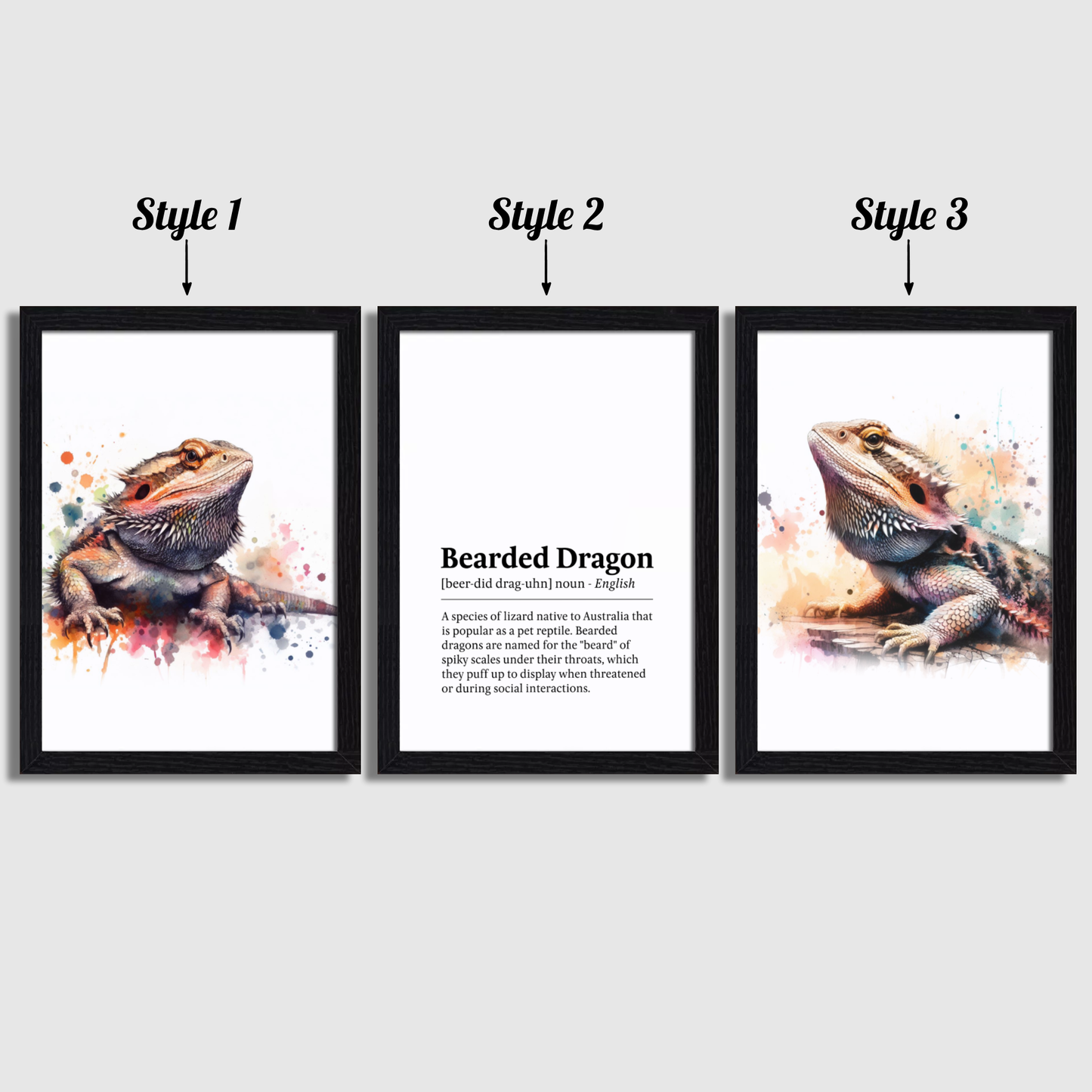 Bearded Dragon Definition Print Set